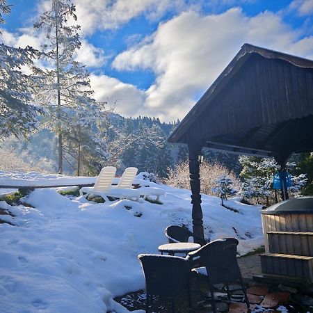 Alpina Panoramic Otel Moisei Dış mekan fotoğraf