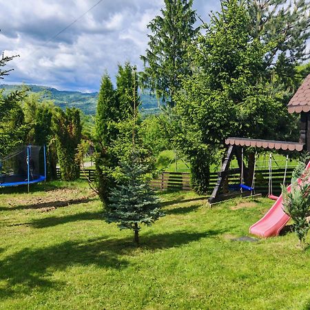 Alpina Panoramic Otel Moisei Dış mekan fotoğraf