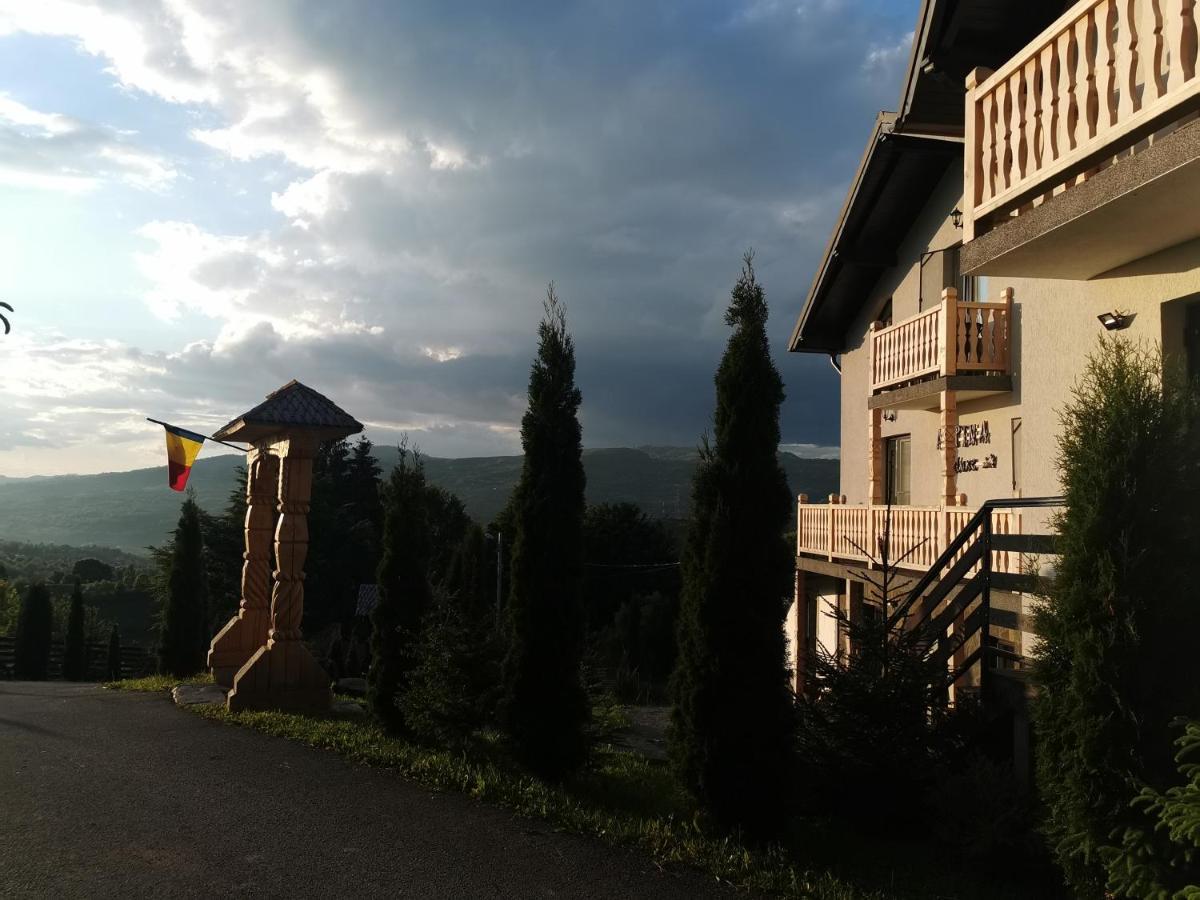 Alpina Panoramic Otel Moisei Dış mekan fotoğraf