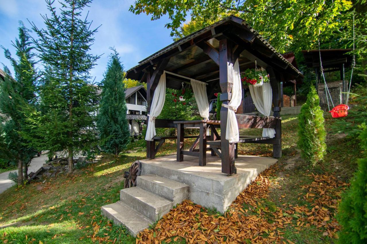 Alpina Panoramic Otel Moisei Dış mekan fotoğraf