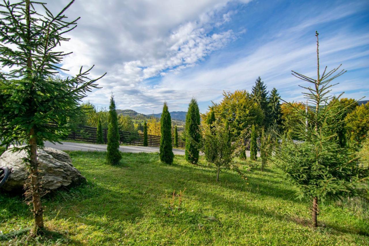 Alpina Panoramic Otel Moisei Dış mekan fotoğraf