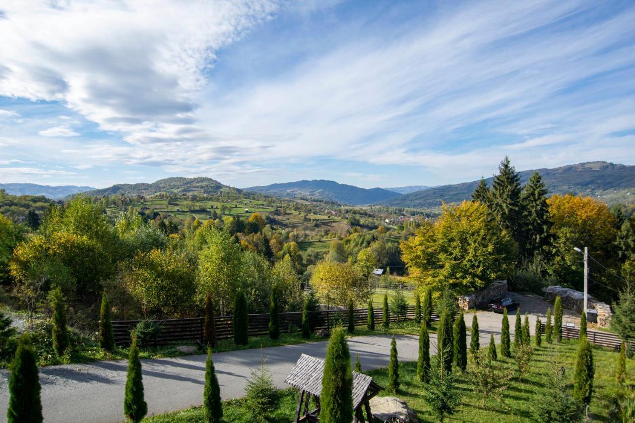 Alpina Panoramic Otel Moisei Dış mekan fotoğraf