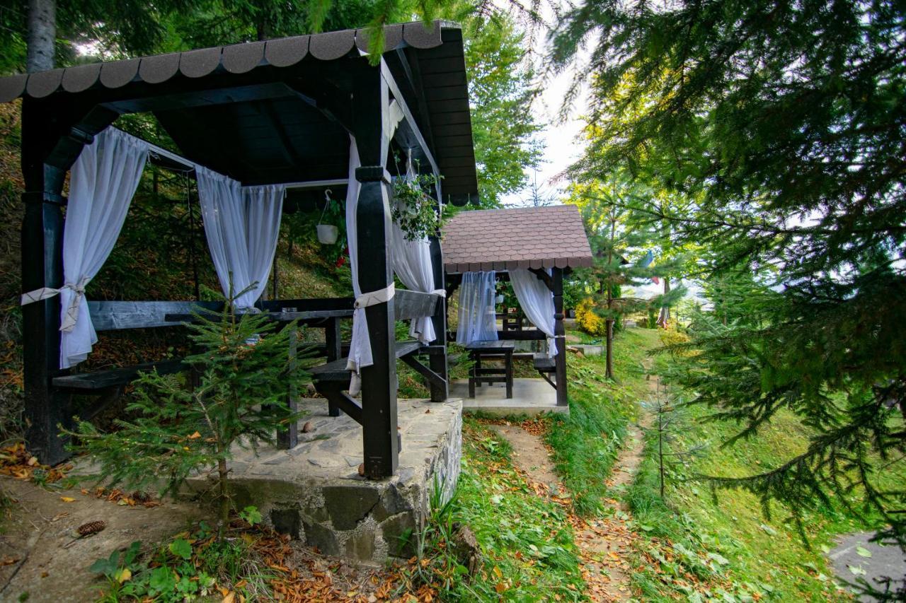 Alpina Panoramic Otel Moisei Dış mekan fotoğraf