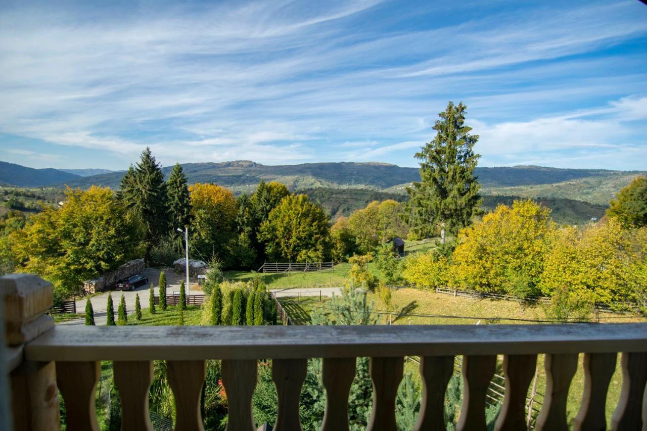 Alpina Panoramic Otel Moisei Dış mekan fotoğraf