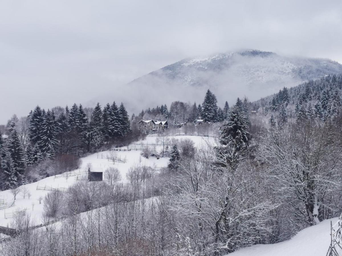 Alpina Panoramic Otel Moisei Dış mekan fotoğraf
