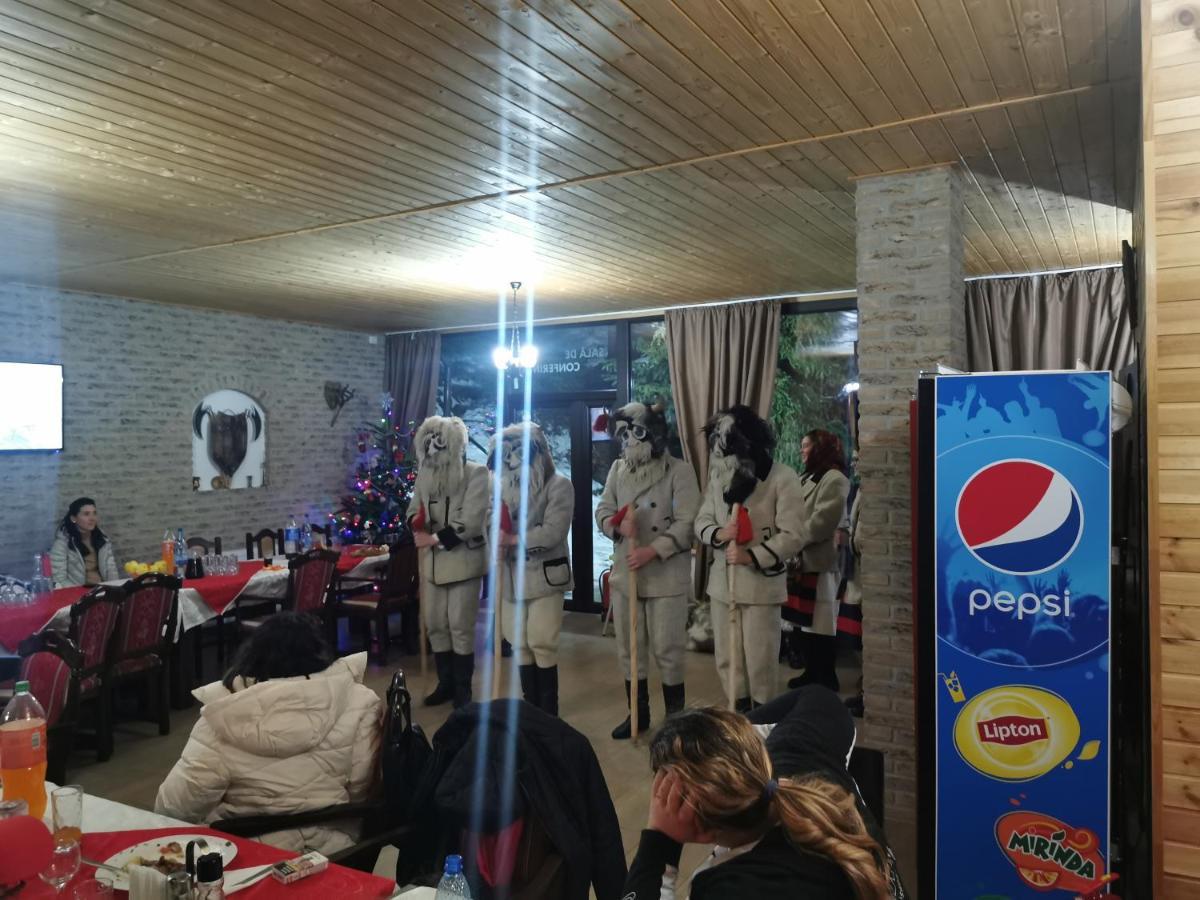 Alpina Panoramic Otel Moisei Dış mekan fotoğraf