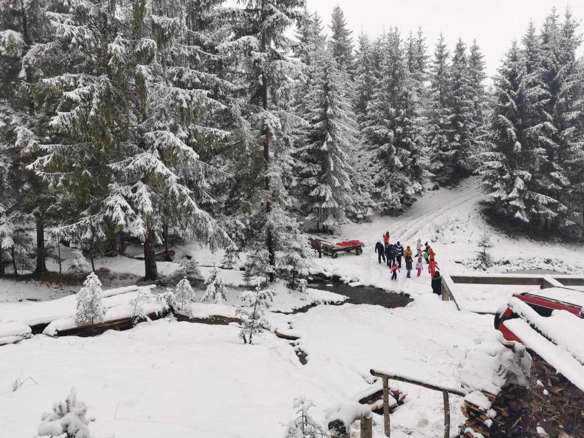 Alpina Panoramic Otel Moisei Dış mekan fotoğraf