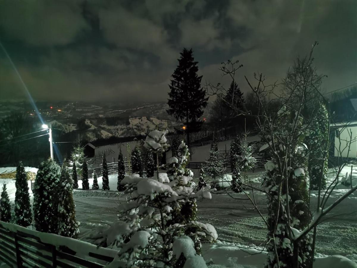 Alpina Panoramic Otel Moisei Dış mekan fotoğraf