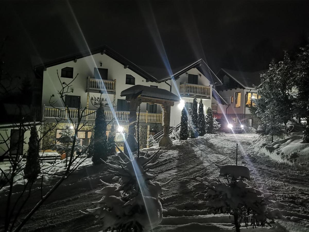 Alpina Panoramic Otel Moisei Dış mekan fotoğraf