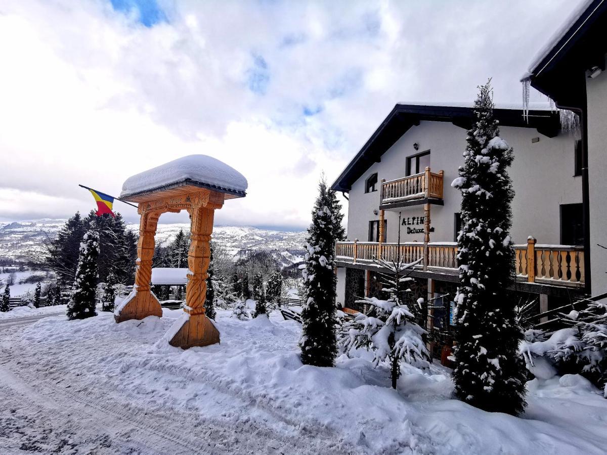 Alpina Panoramic Otel Moisei Dış mekan fotoğraf