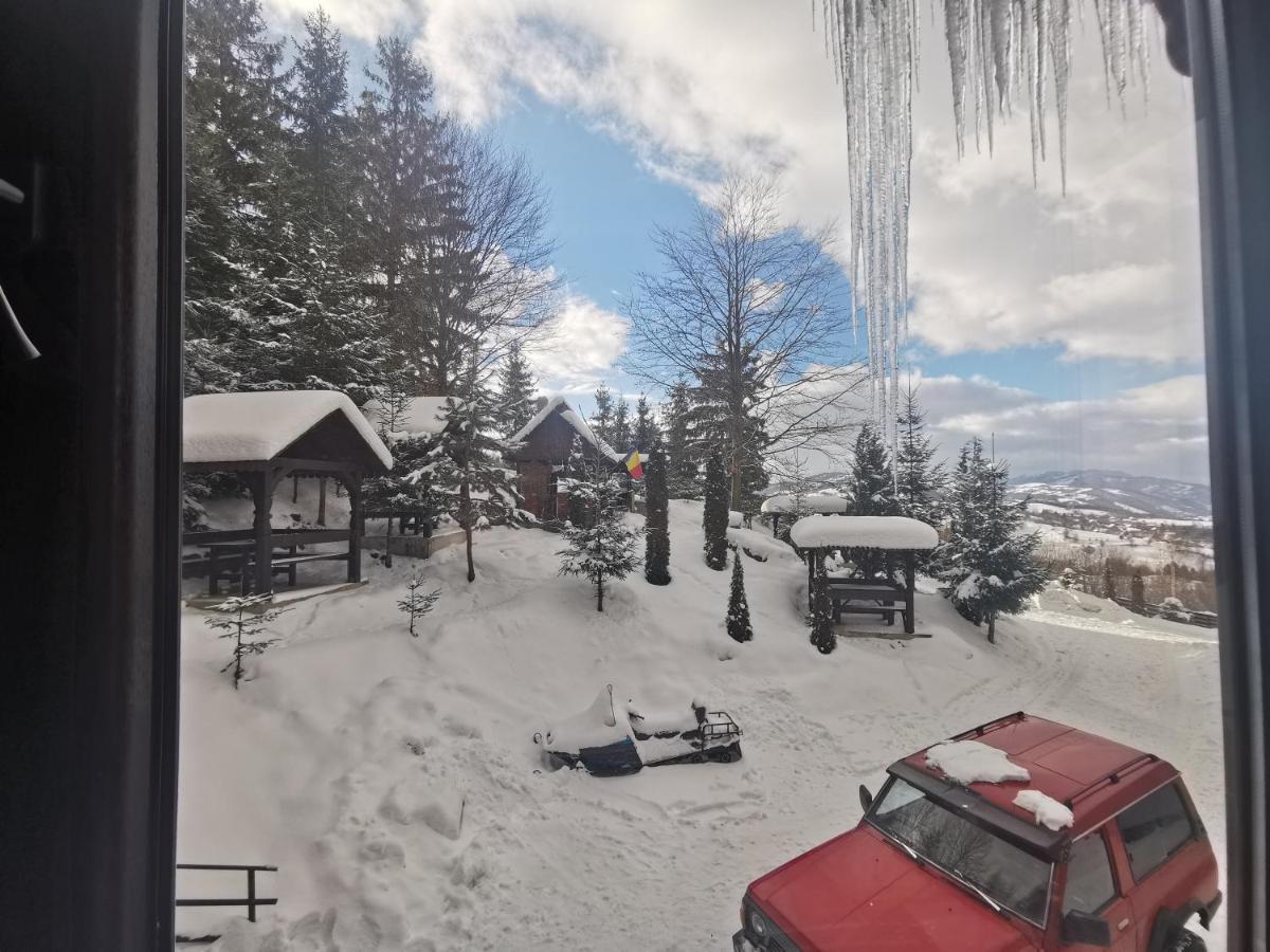 Alpina Panoramic Otel Moisei Dış mekan fotoğraf