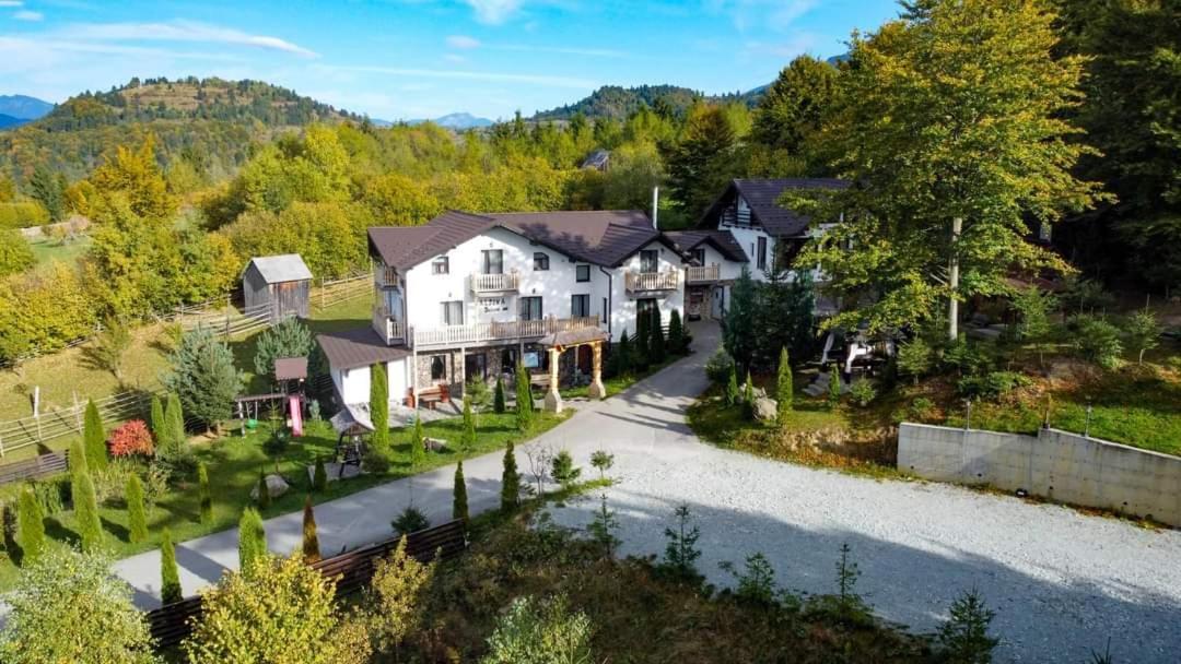 Alpina Panoramic Otel Moisei Dış mekan fotoğraf