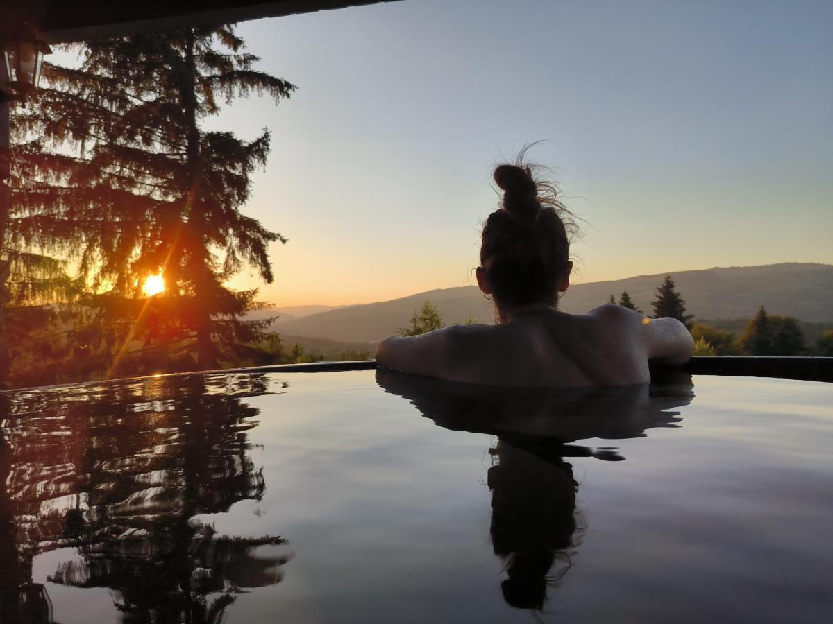 Alpina Panoramic Otel Moisei Dış mekan fotoğraf