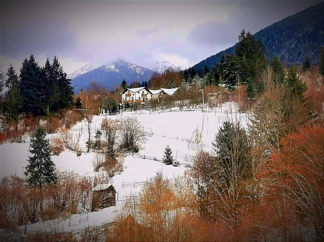 Alpina Panoramic Otel Moisei Dış mekan fotoğraf