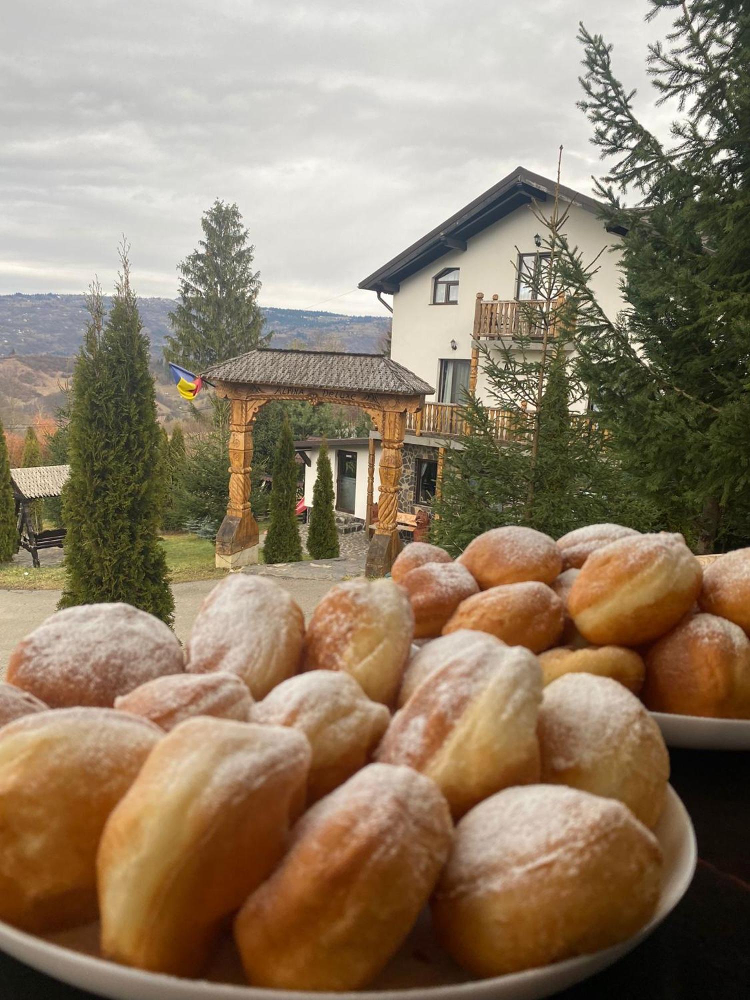 Alpina Panoramic Otel Moisei Dış mekan fotoğraf