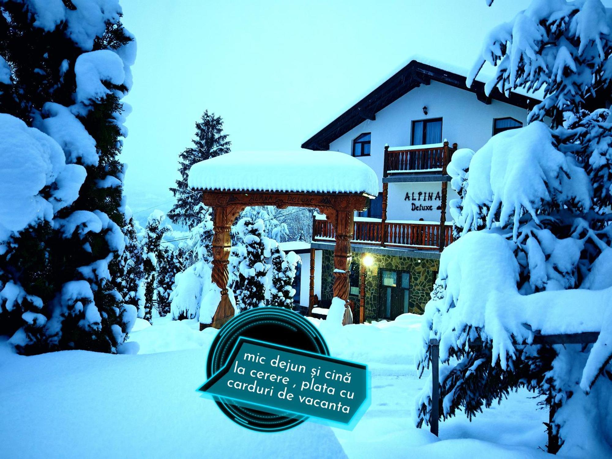 Alpina Panoramic Otel Moisei Dış mekan fotoğraf