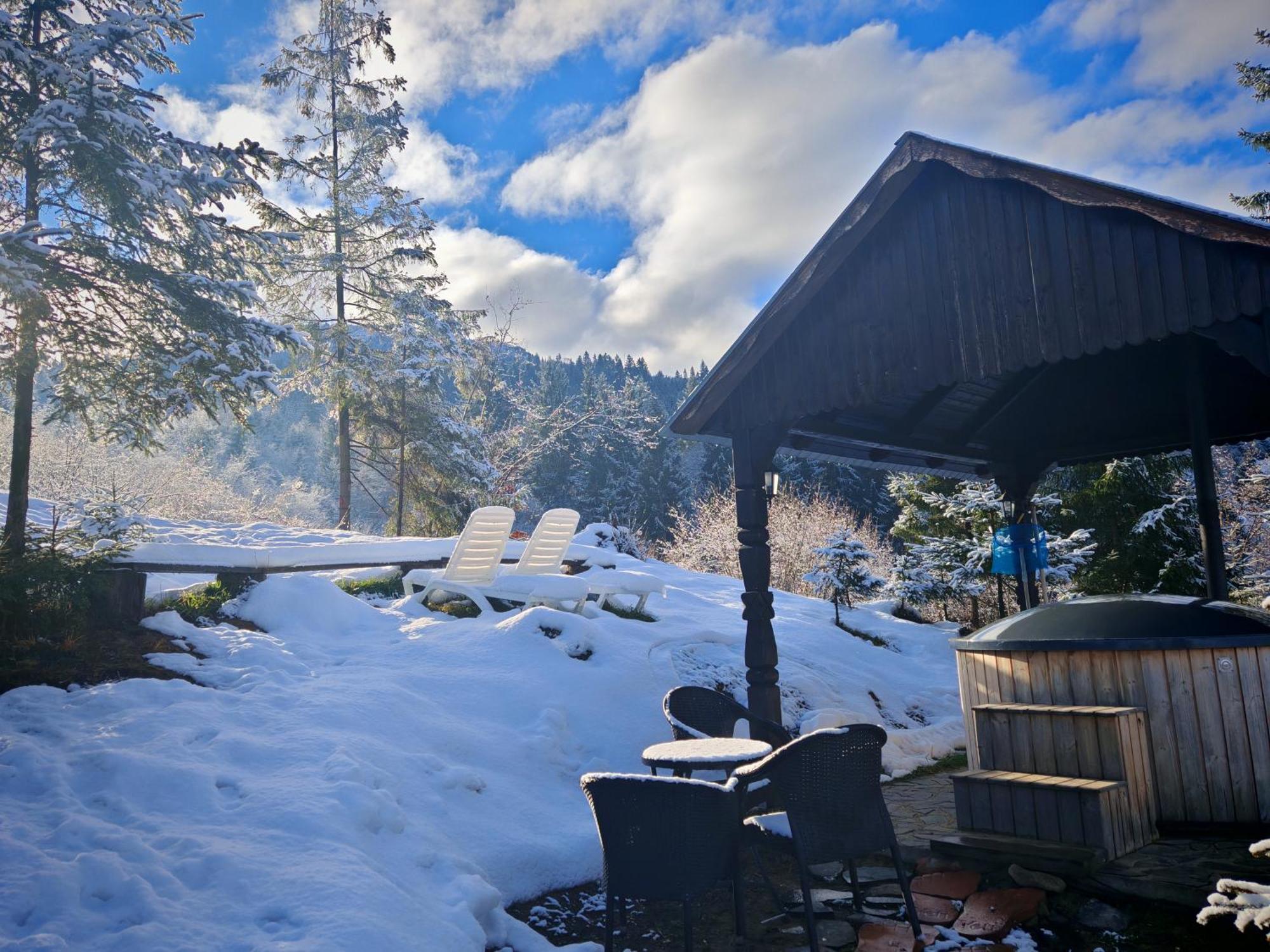 Alpina Panoramic Otel Moisei Dış mekan fotoğraf