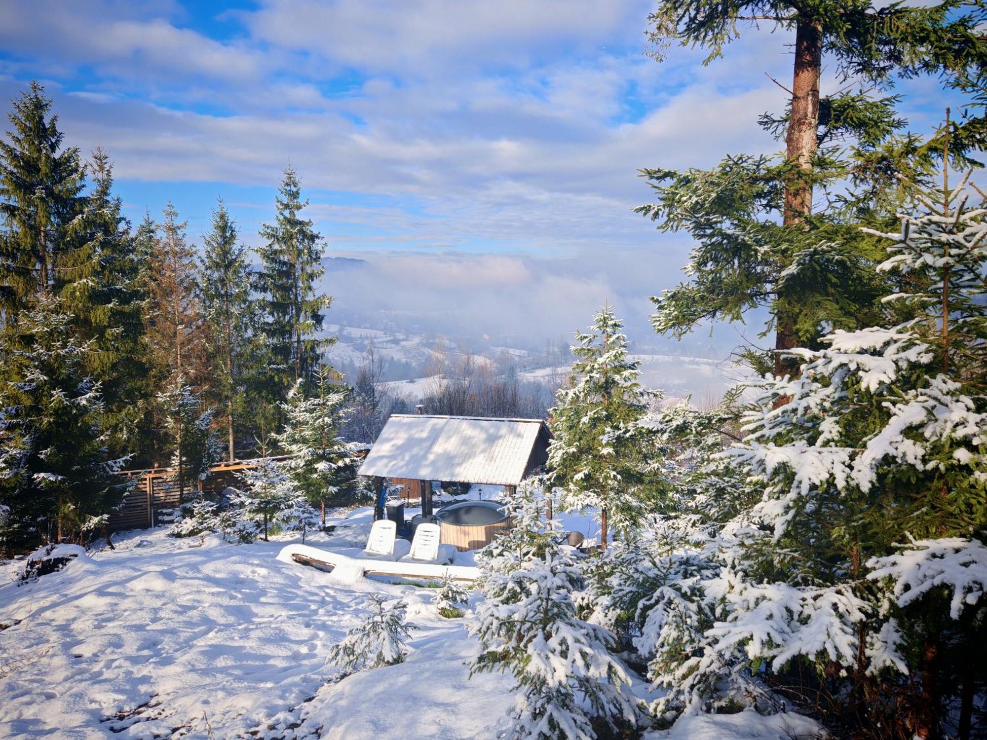 Alpina Panoramic Otel Moisei Dış mekan fotoğraf