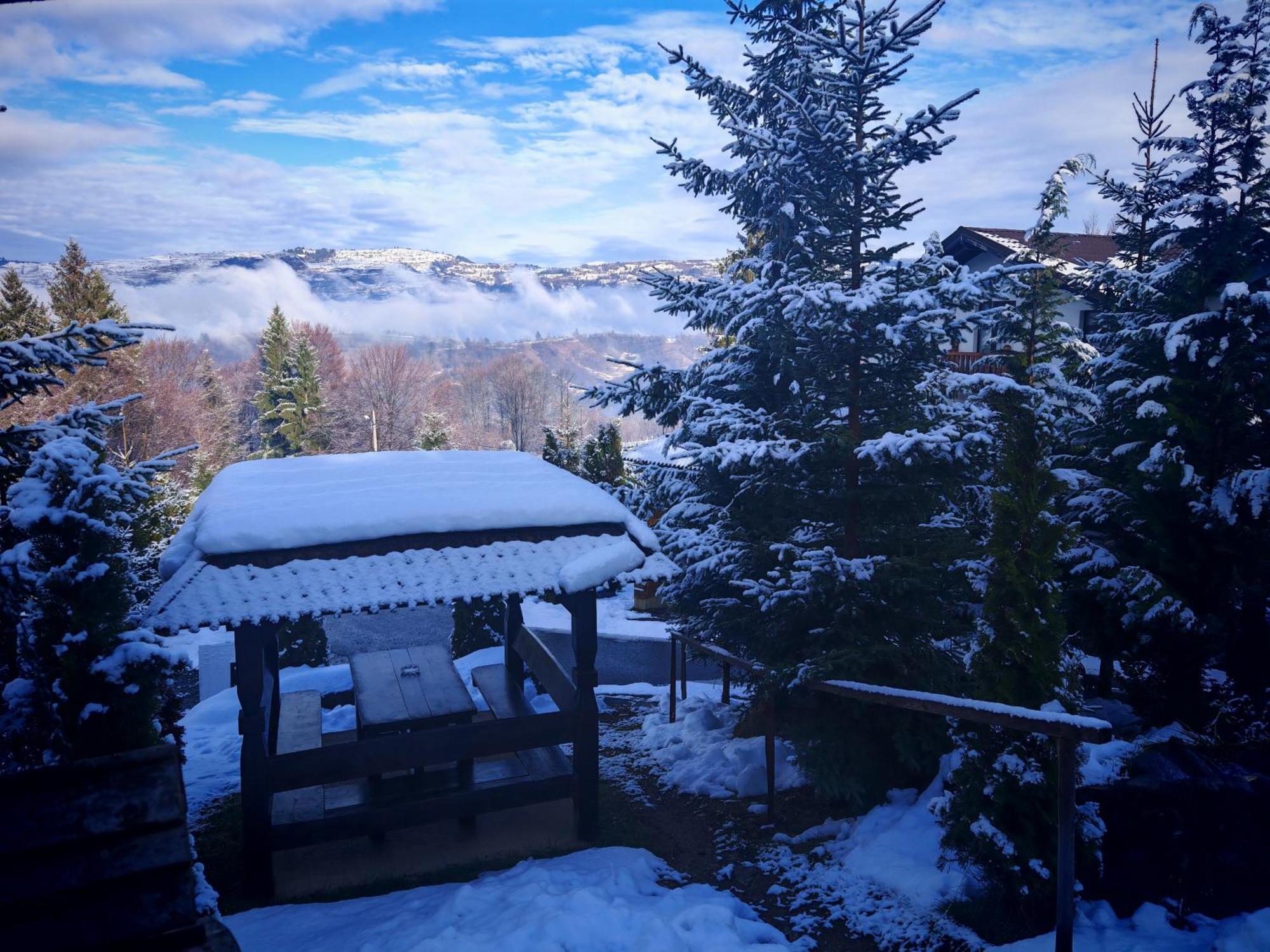 Alpina Panoramic Otel Moisei Dış mekan fotoğraf
