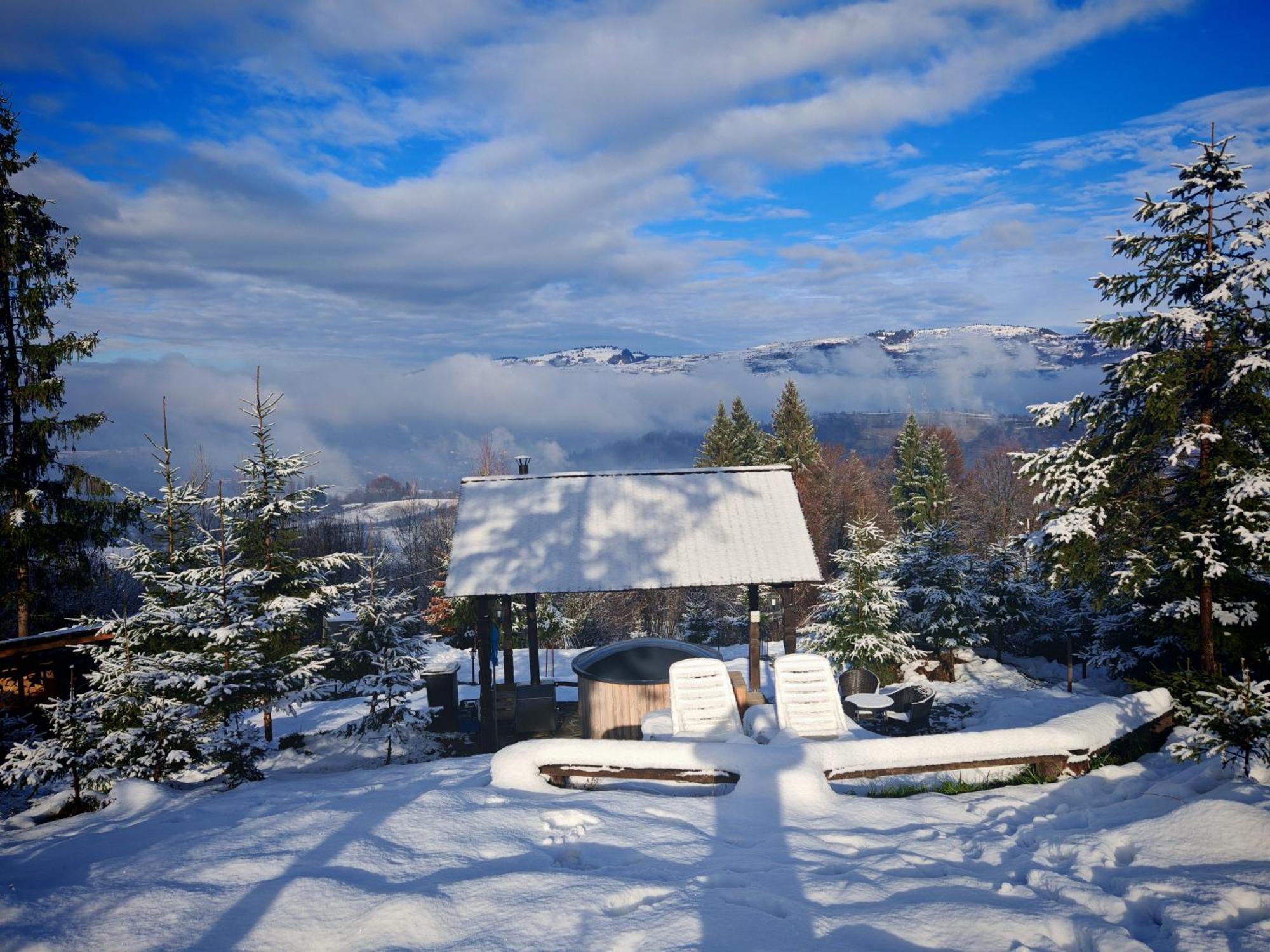 Alpina Panoramic Otel Moisei Dış mekan fotoğraf