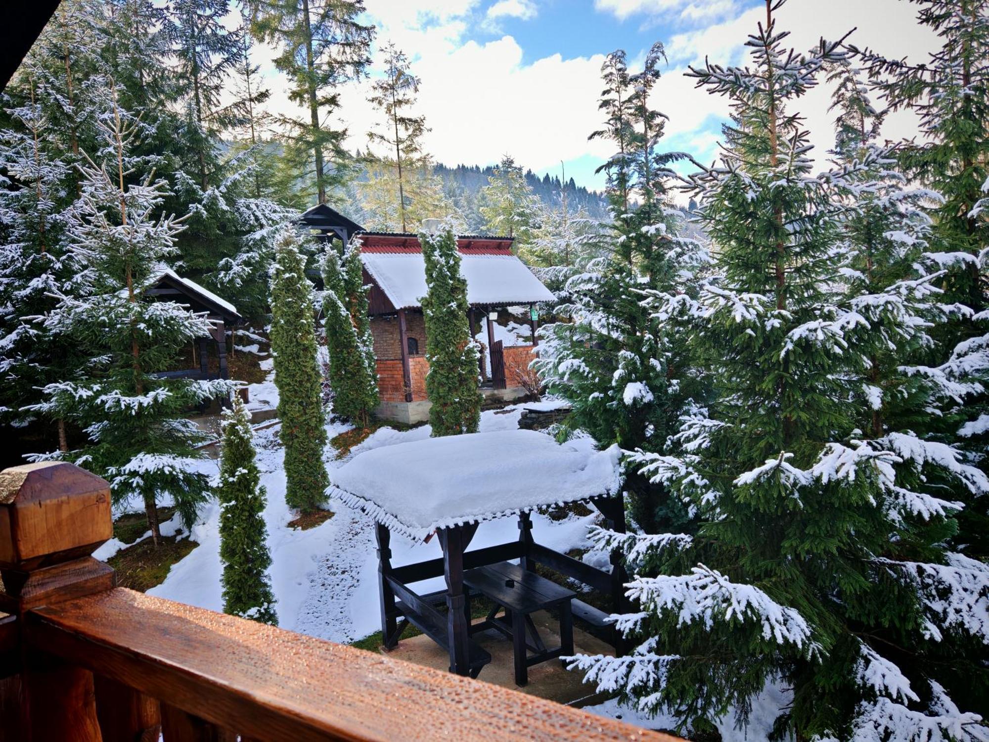 Alpina Panoramic Otel Moisei Dış mekan fotoğraf