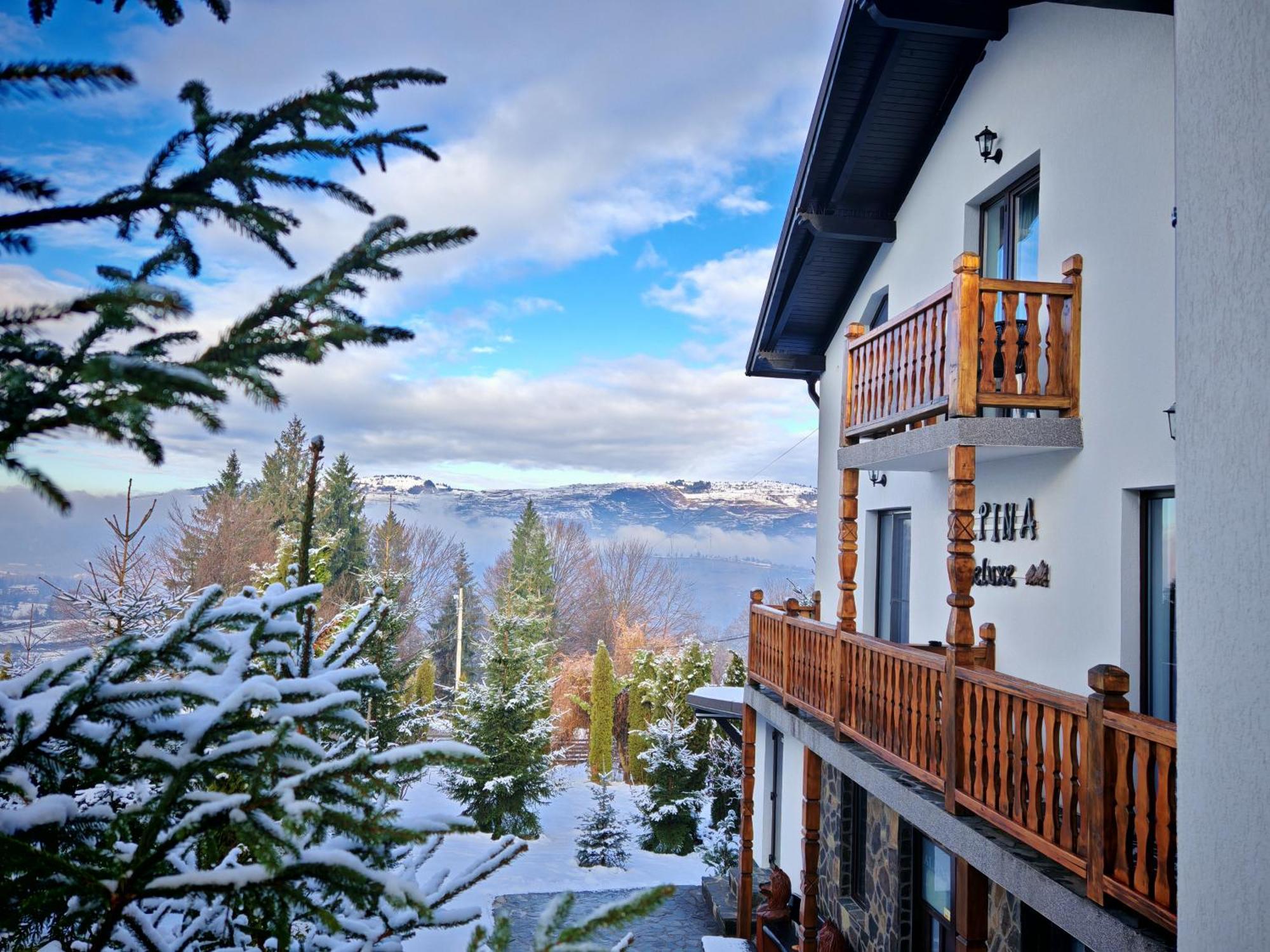 Alpina Panoramic Otel Moisei Dış mekan fotoğraf